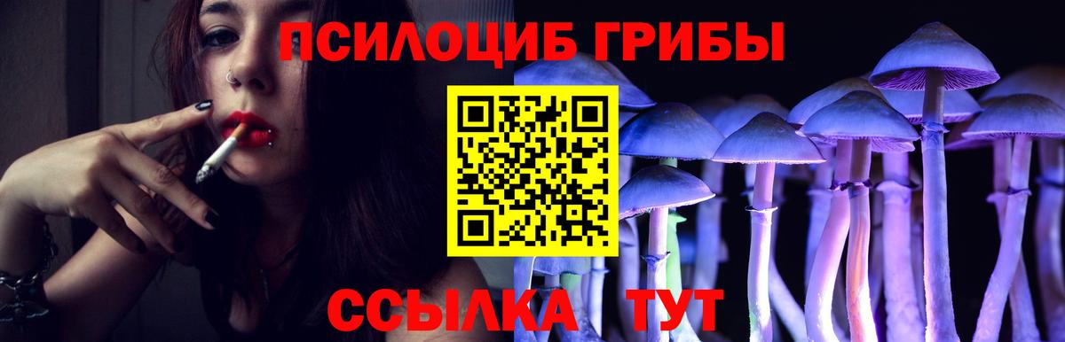 Псилоцибиновые грибы Magic Shrooms  Вход с VPN  Мытищи  Псилоцибиновые грибы Cubensis 